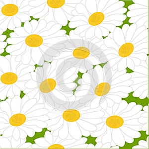 Seamless flowers pattern. Vector. EPS 10