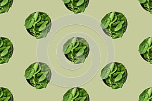 Seamless food pattern from bowls of fresh green spinach. Healthy plant based diet vegan lifestyle concept