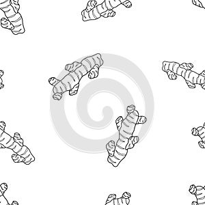 Seamless food pattern. Contour vector ginger on white background. Outline hand drawn illustration for spice and organic food