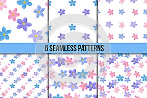 Seamless forget-me-not pattern set