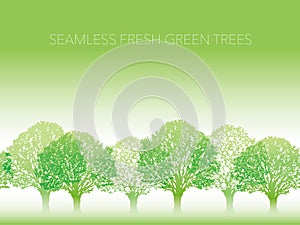 Seamless fresh green trees background with text space, vector illustration.