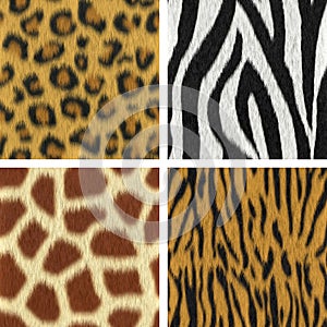 Seamless Fur Textures