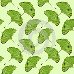 Seamless ginkgo leaf pattern wallpaper