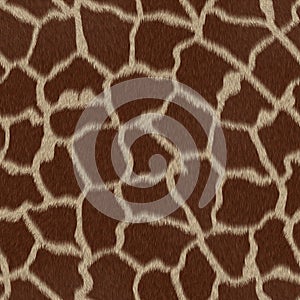 Seamless Giraffe repeating pattern texture