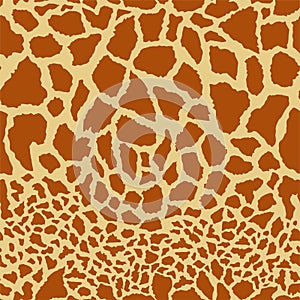 Vector Seamless giraffe skin pattern