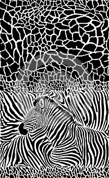 Seamless giraffe and zebra background