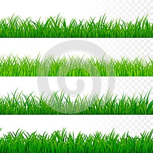 Seamless gorisontal grass border. Green grass pattern. Grass texture elements. Vector