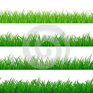 Seamless gorisontal grass border. Green herbal panorama pattern. Grass texture elements. Vector illustration