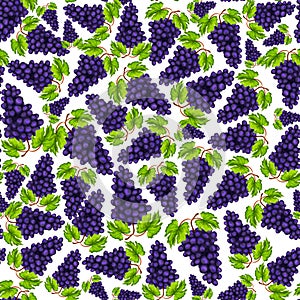 Seamless grapes fruit pattern