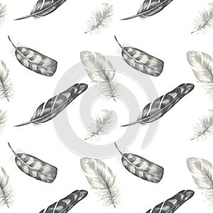 Seamless Graphic Pattern. Black and white birdfeathers