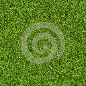 Seamless grass