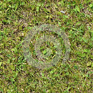 Seamless grass. Fresh green grass moss floor garden texture background
