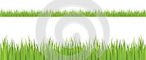 Seamless grass illustration