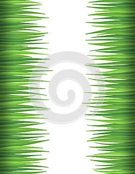 Seamless grass pattern