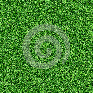 Seamless grass texture