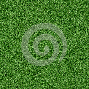 Seamless grass texture