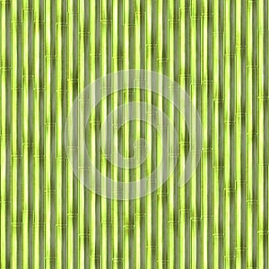 Seamless green bamboo pattern