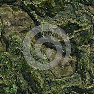 Seamless Green Terrain Background