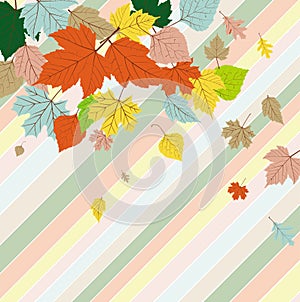 Seamless greetings card with autumn leaves