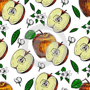 Seamless of hand drawn apple. Vintage sketch style illustration. Organic eco food. Whole , sliced pieces half,leaves and