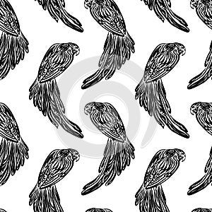 Seamless hand drawn corella parrot outline sketch pattern. Endless vector black ink tropic bird drawing isolated on white