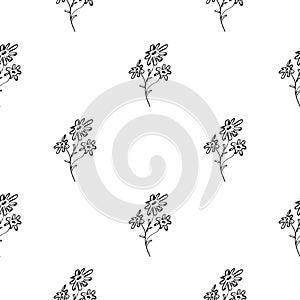 Seamless hand drawn pattern of abstract daisies flowers isolated on white background. Vector floral illustration. Cute doodle