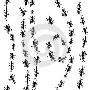 Seamless hand drawn pattern with ants.