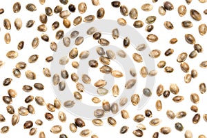 Seamless hemp seed background