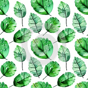 Seamless herbal pattern with green watercolor leaves.