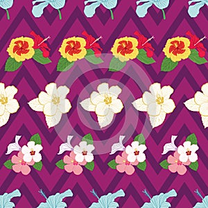 Seamless hibiscus flowers pattern on purple chevron background