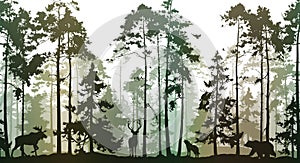 Seamless horizontal background with pine forest and animals