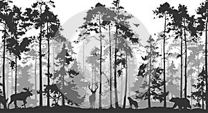 Seamless horizontal background with pine forest and animals