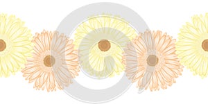 Seamless horizontal frame element of gerbera flower