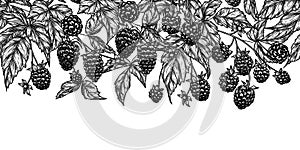 Seamless horizontal pattern of blackberry bush