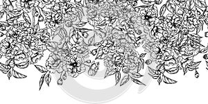 Seamless horizontal pattern of blossoming sakura branch