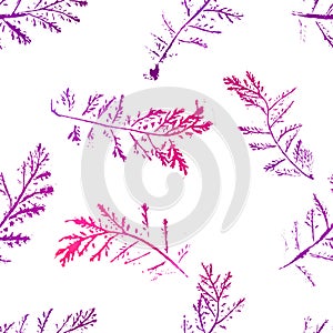 Seamless imprints pattern of the branched herbs.