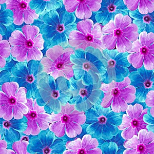 Seamless infinite floral background. For design and printing. Background of natural blue and purple Violets.