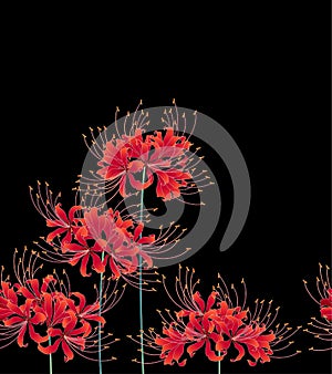 Seamless and Japanese style camellia cluster amaryllis pattern,,