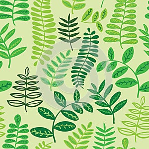 Seamless leaf forest fern pattern background