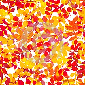 Seamless leaf pattern.Leaf background. Autumn seamless pattern.