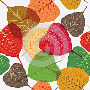 Seamless leaves background, colorful design elements isolated on white background