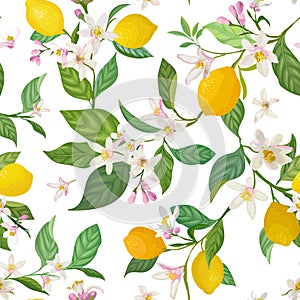 Seamless Lemon pattern with tropic fruits, leaves, flowers background. Hand drawn illustration in watercolor style for summer