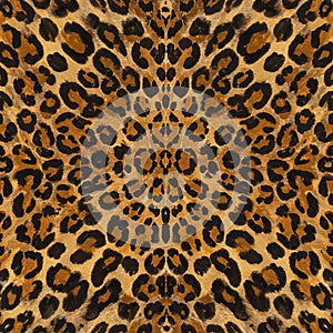 Seamless leopard (Panthera pardus) print pattern featuring a symmetrical design. Th