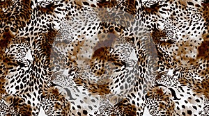 Seamless leopard pattern. Abstract animals pattern