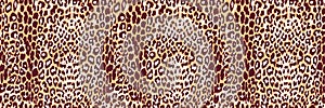 Seamless leopard pattern