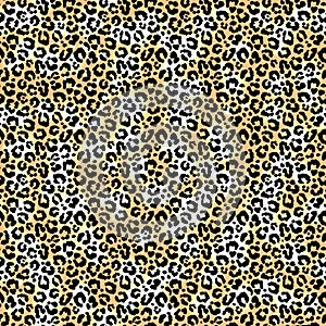 Seamless leopard pattern. Vector.