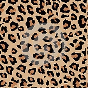 Seamless leopard print. Vector pattern, texture, background