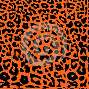 Seamless leopard print. Vector pattern, texture, background