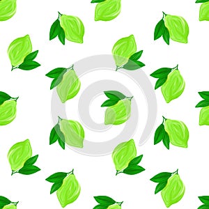 A seamless lime pattern on white background. The seamless pattern of fresh citrus fruit lime with green leaves. Hand