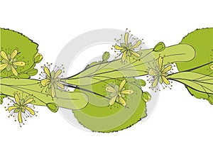 Seamless linden pattern. Ornament of a branch of a Tilia tree. Background of a basswood. Limetree or tree.